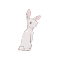 Dainty Rabbit Sticker