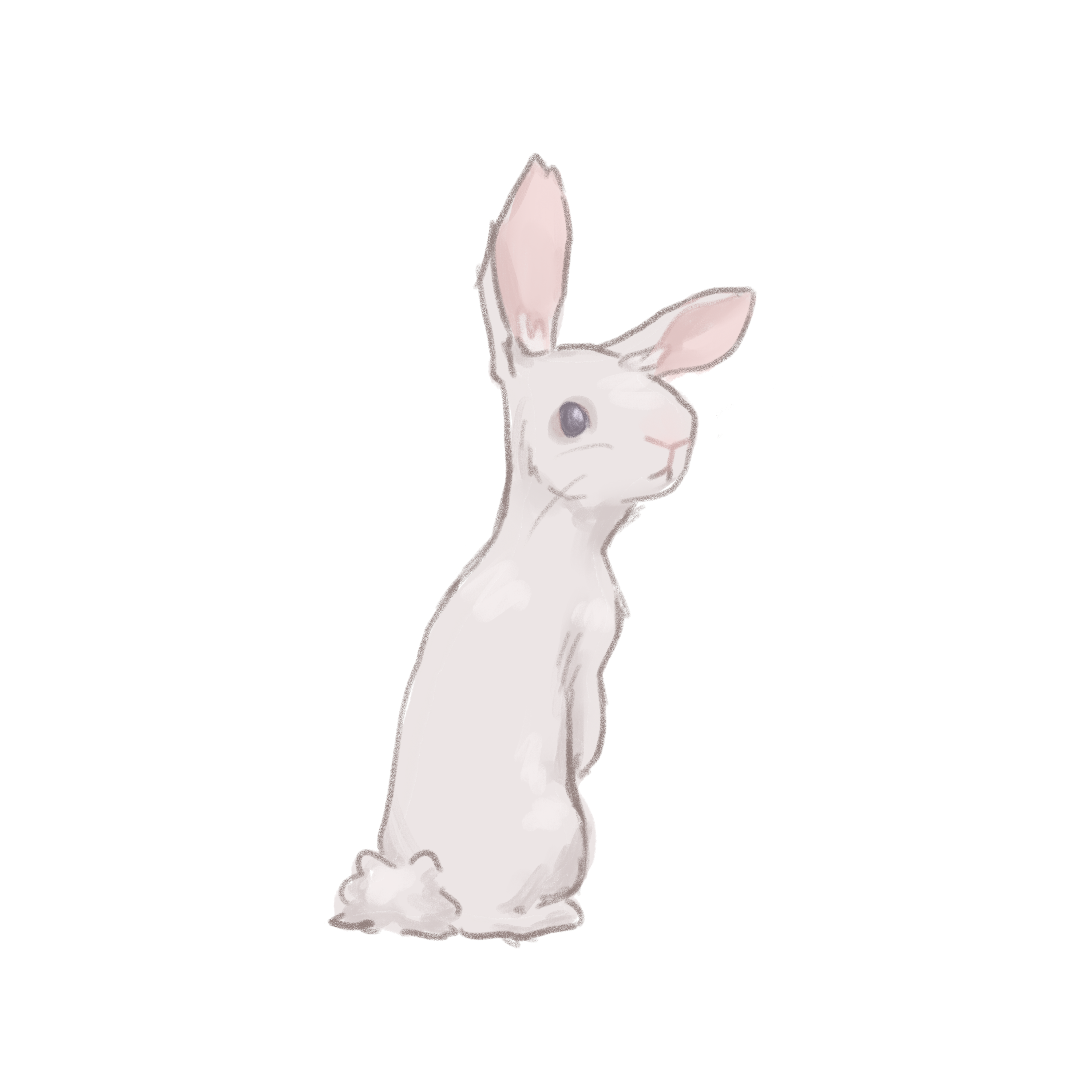 Dainty Rabbit Sticker
